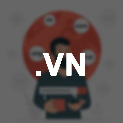 Hướng dẫn quản lý tên miền Việt Nam VinaHost
