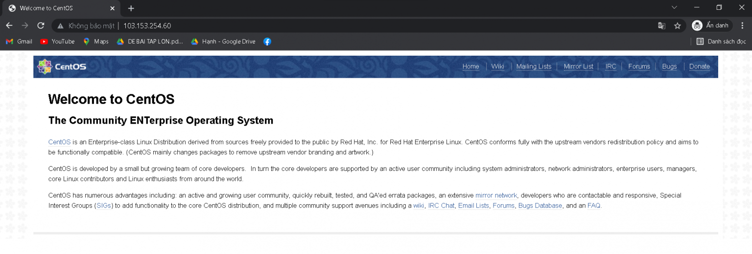 Hướng Dẫn Cấu Hình NodeJS Trên VPS Centos 7 - VinaHost